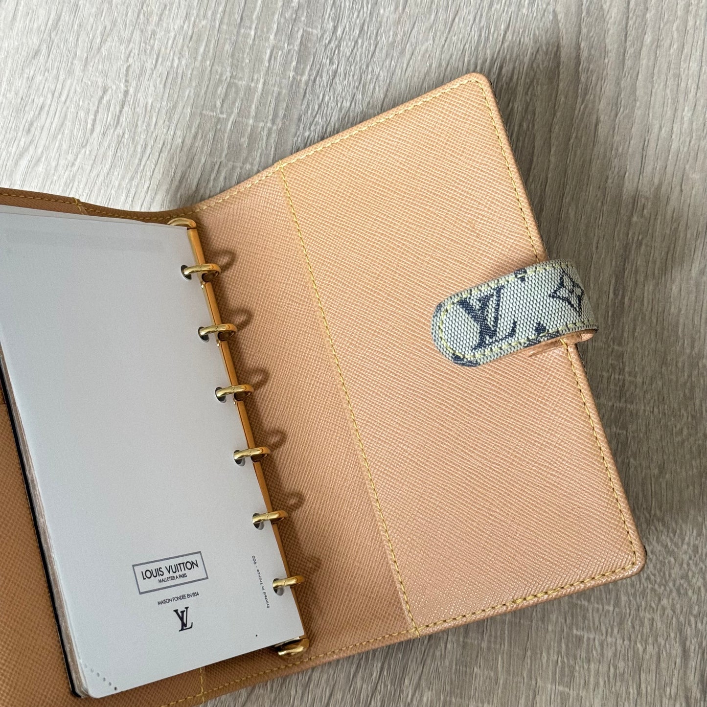 LV Blue/Navy Monogram Lyn PM Agenda