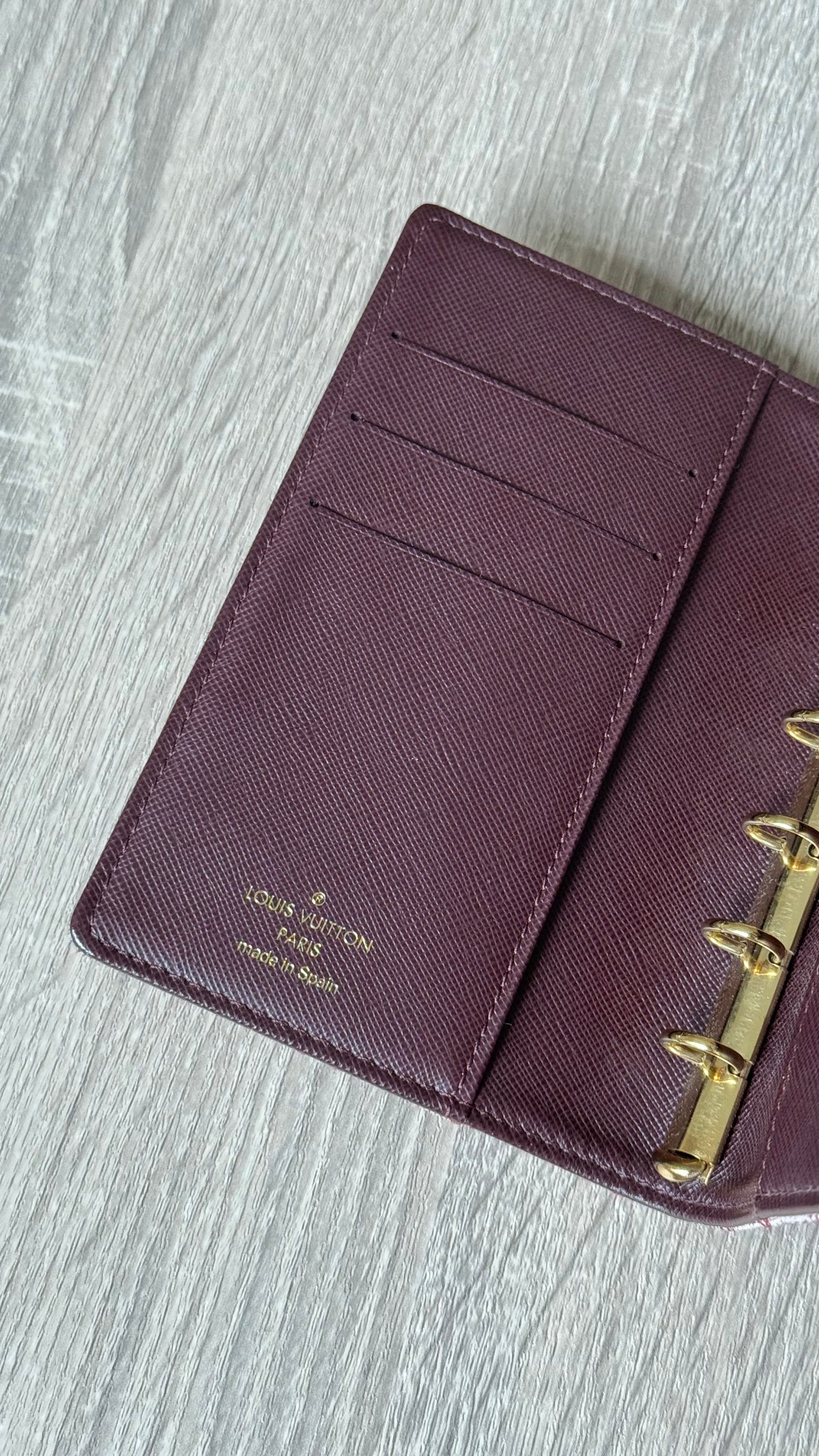 LV Monogram Red/Pink Lyn PM Agenda