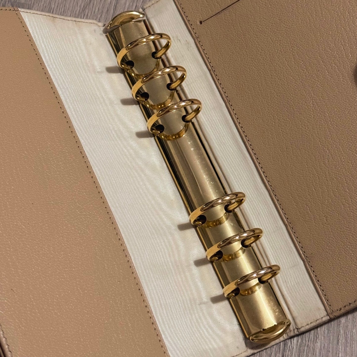 Chanel Classic Logo Clasp Beige MM Agenda