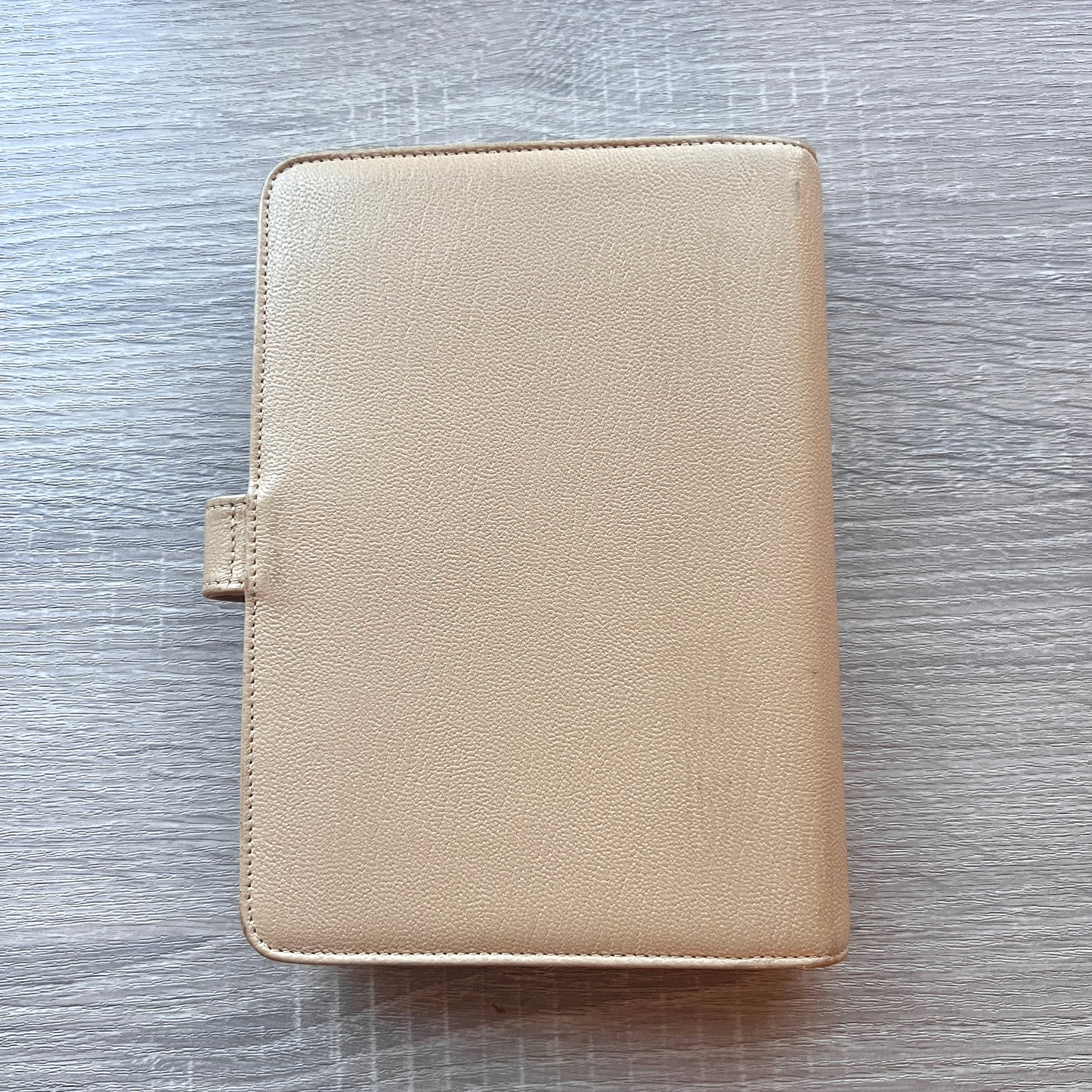 beige chanel lanner diary tan