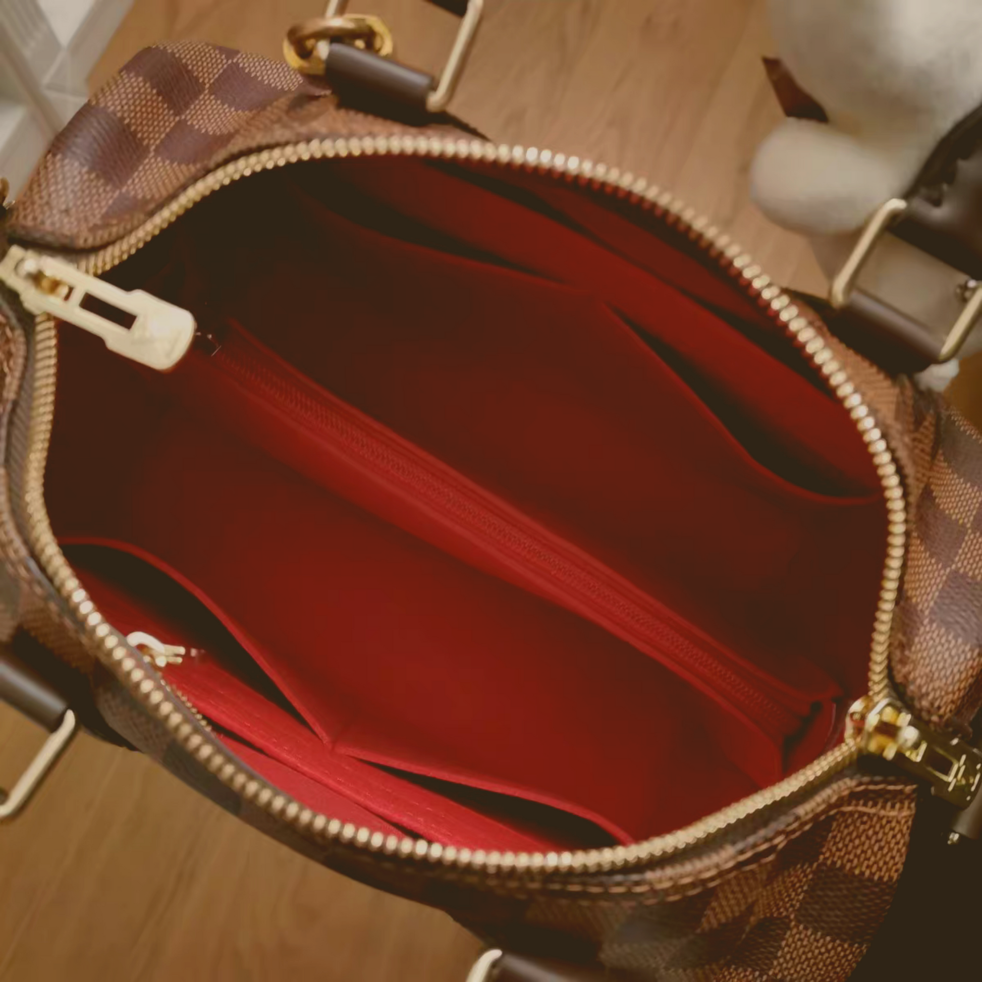 Louis Vuitton Speedy Handbag Organizer